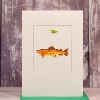 Brown Trout card